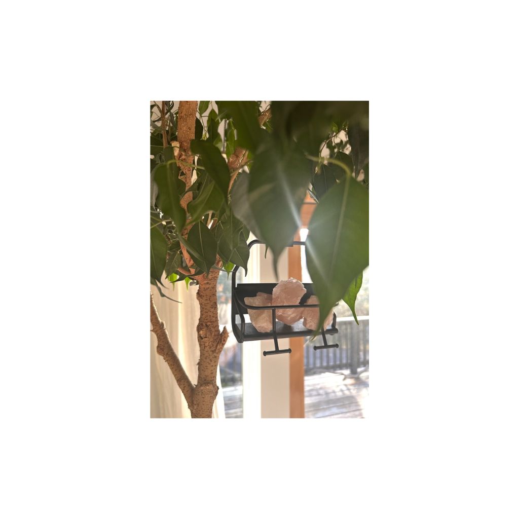 Crystals hanging on indoor plant sitting in a decorative ski chair